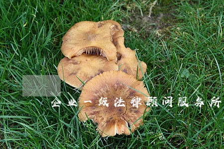 企业一级法律顾问服务所 企业一级法律顾问服务所