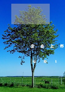 企业上市需要无违法证明/2023020481925 企业上市需要无违法证明/2023020481925