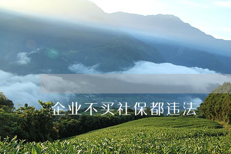 企业不买社保都违法