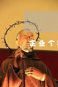 企业个税0申报逾期一年 企业个税0申报逾期一年