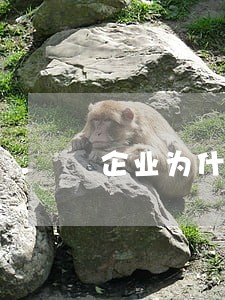 企业为什么要请专业法律顾问