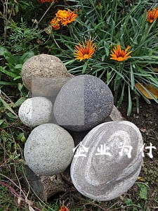 企业为什么需要刑事专项法律顾问