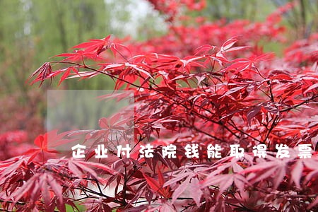 企业付法院钱能取得发票吗 企业付法院钱能取得发票吗