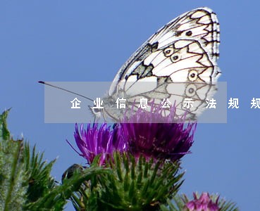 企业信息公示法规规章汇编 企业信息公示法规规章汇编