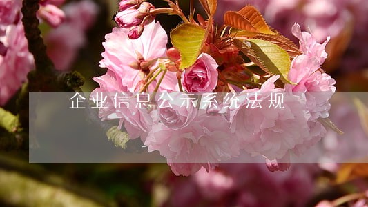 企业信息公示系统法规