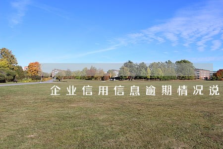 企业信用信息逾期情况说明 企业信用信息逾期情况说明