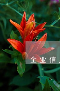 企业信用借款过多逾期 企业信用借款过多逾期