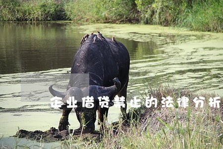 企业借贷禁止的法律分析 企业借贷禁止的法律分析