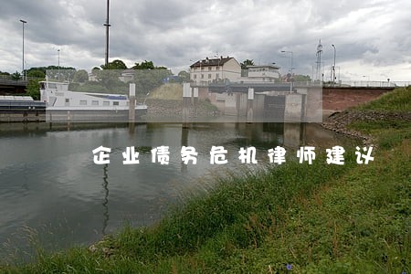 企业债务危机律师建议 企业债务危机律师建议