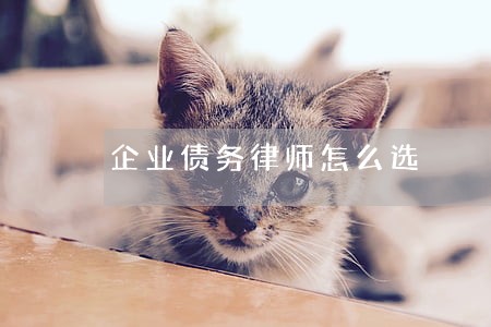 企业债务律师怎么选 企业债务律师怎么选