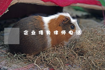 企业债务律师电话 企业债务律师电话