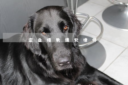 企业债务清欠律师 企业债务清欠律师