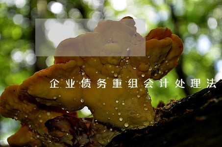 企业债务重组会计处理法律百科 企业债务重组会计处理法律百科