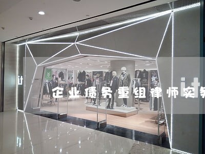 企业债务重组律师实务 企业债务重组律师实务