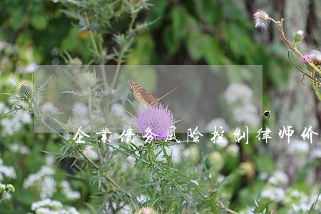 企业债务风险控制律师价格 企业债务风险控制律师价格