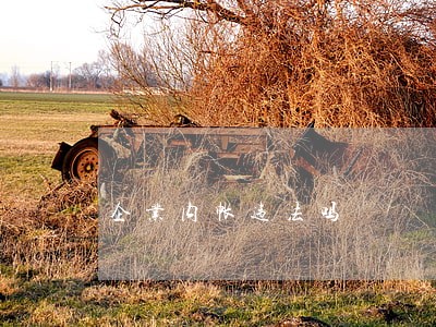 企业内帐违法吗 企业内帐违法吗