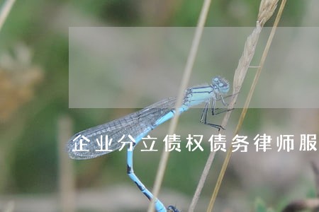企业分立债权债务律师服务 企业分立债权债务律师服务