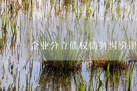 企业分立债权债务纠纷律师费多少 企业分立债权债务纠纷律师费多少