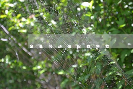 企业劳动法规有哪些 企业劳动法规有哪些