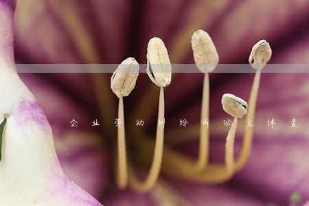 企业劳动纠纷诉讼主体责任认定 企业劳动纠纷诉讼主体责任认定