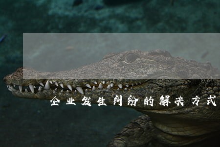 企业发生纠纷的解决方式