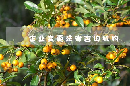 企业变更法律咨询机构 企业变更法律咨询机构