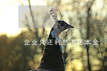 企业只还利息不还本金 企业只还利息不还本金