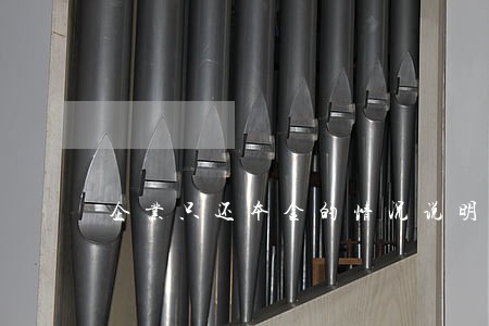 企业只还本金的情况说明 企业只还本金的情况说明