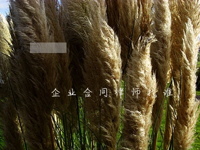 企业合同律师找谁 企业合同律师找谁