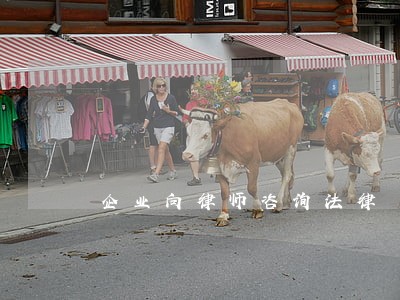 企业向律师咨询法律 企业向律师咨询法律