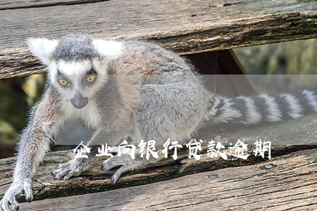 企业向银行贷款逾期 企业向银行贷款逾期