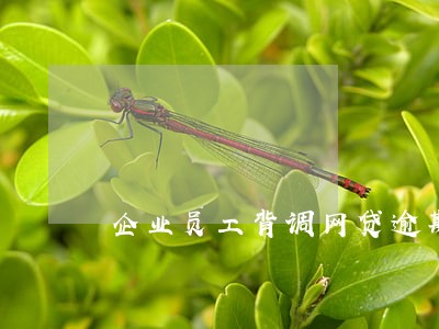 企业员工背调网贷逾期有什么用 企业员工背调网贷逾期有什么用