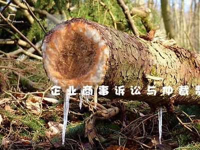 企业商事诉讼与仲裁费用推荐咨询