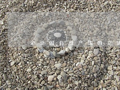企业国有资产法的立法背景 企业国有资产法的立法背景