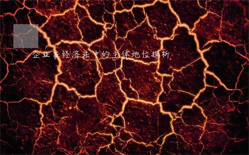 企业在经济法中的主体地位探析 企业在经济法中的主体地位探析