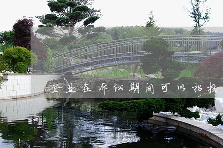 企业在诉讼期间可以招投标吗 企业在诉讼期间可以招投标吗
