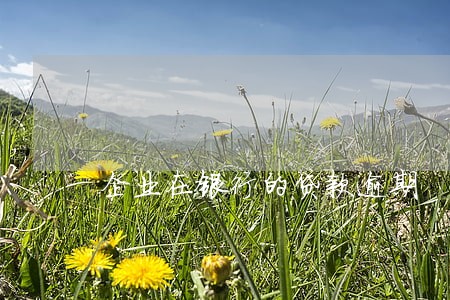 企业在银行的贷款逾期 企业在银行的贷款逾期