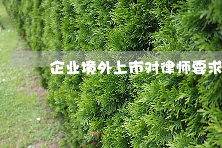 企业境外上市对律师要求 企业境外上市对律师要求