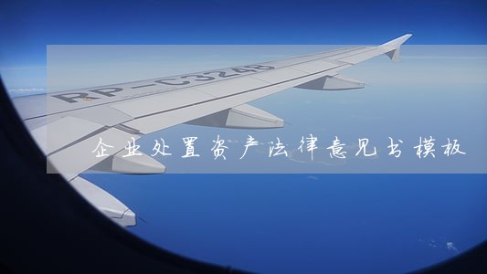 企业处置资产法律意见书模板