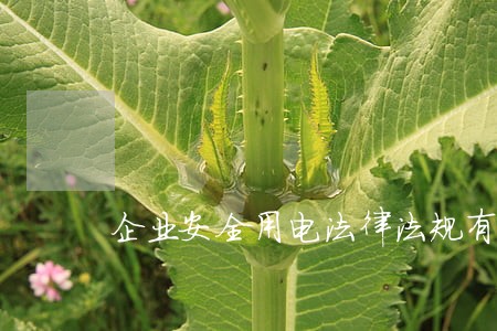 企业安全用电法律法规有哪些 企业安全用电法律法规有哪些