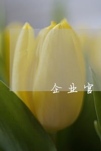 企业官司专业律师团队