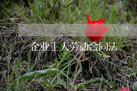 企业工人劳动合同法 企业工人劳动合同法