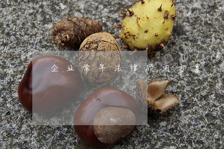 企业常年法律顾问方案 企业常年法律顾问方案