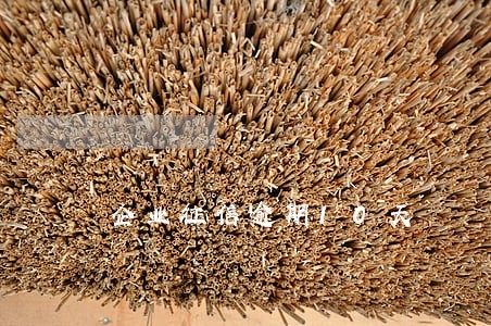 企业征信逾期10天 企业征信逾期10天