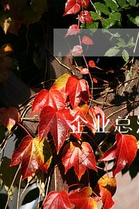 企业总法律顾问任职条件 企业总法律顾问任职条件