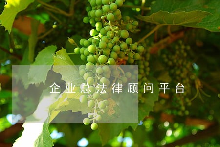 企业总法律顾问平台 企业总法律顾问平台