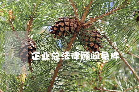 企业总法律顾问条件 企业总法律顾问条件