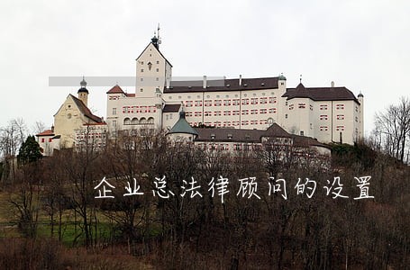 企业总法律顾问的设置 企业总法律顾问的设置