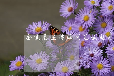 企业总法律顾问笔试题目 企业总法律顾问笔试题目