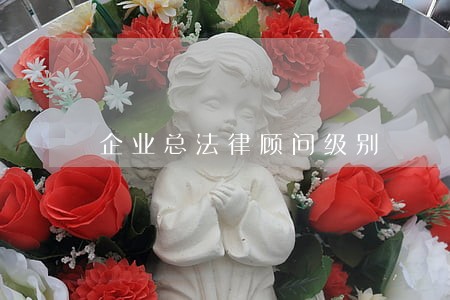 企业总法律顾问级别 企业总法律顾问级别